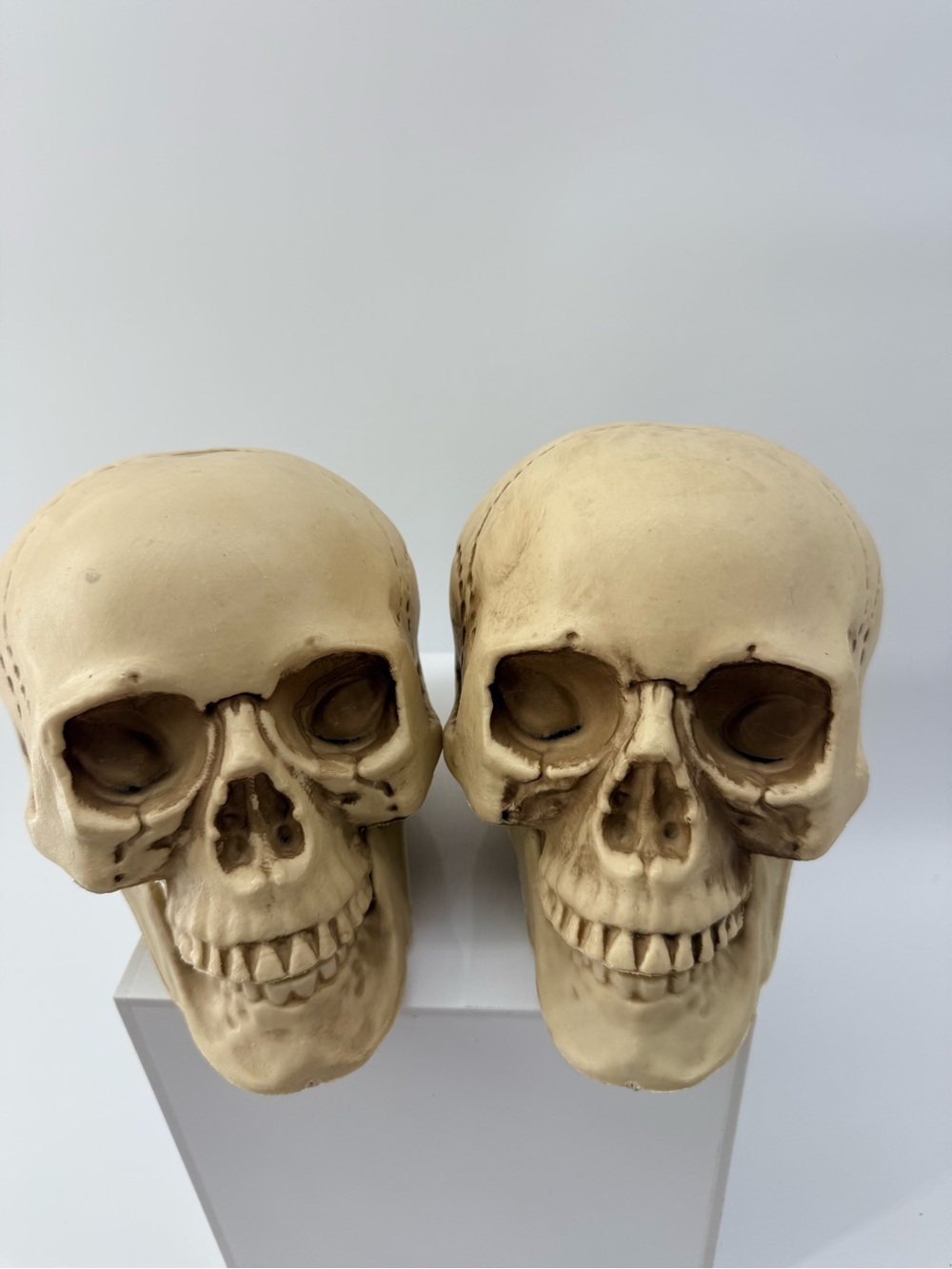 Beige Decorative Skull Set - Halloween Tabletop Accent